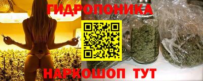 дживик Кандалакша