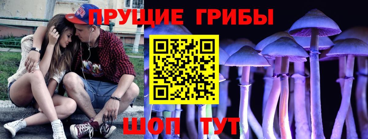 Галлюциногенные грибы ЛСД Ухта
